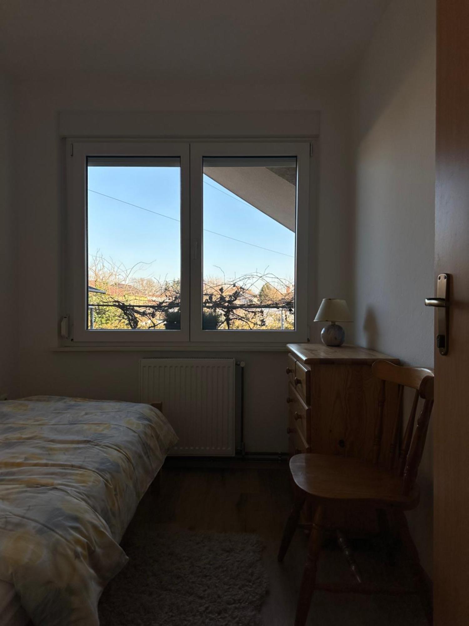 Vanessa Apartment Λιουμπλιάνα Εξωτερικό φωτογραφία