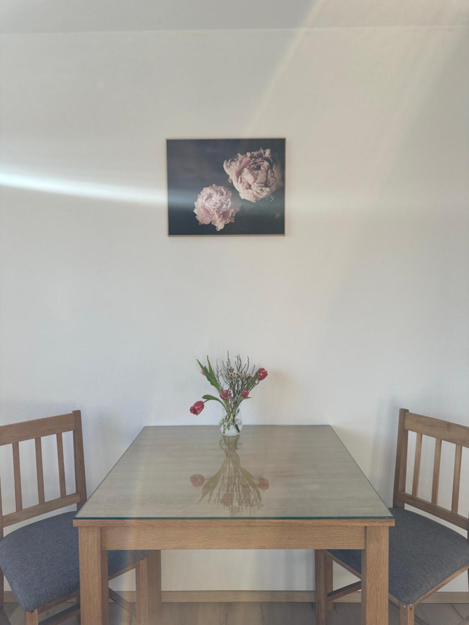 Vanessa Apartment Λιουμπλιάνα Εξωτερικό φωτογραφία